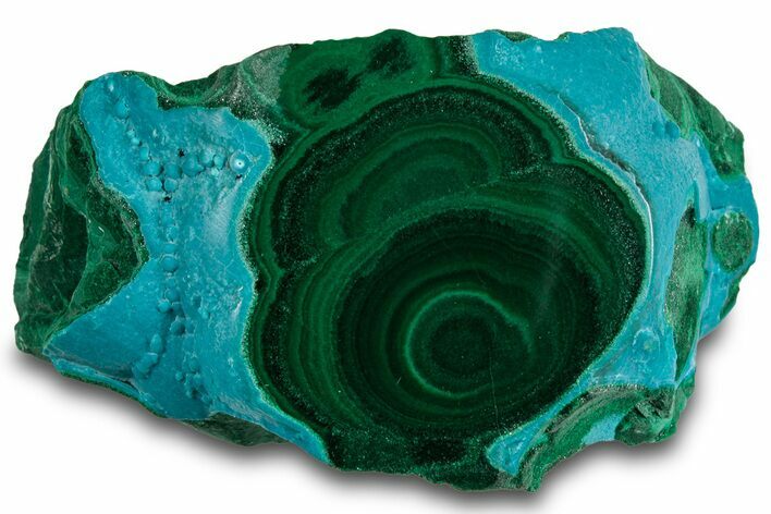 Vibrant Polished Malachite with Chrysocolla - DR Congo #319817